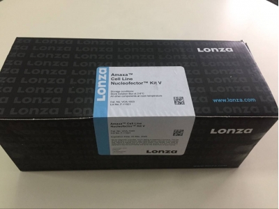 Amaxa Lonza Cell Line Nucleofector? Kit V 轉染試劑盒