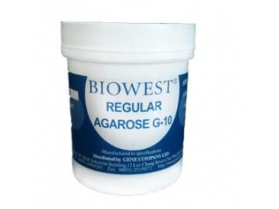 BIOWEST西班牙瓊脂糖 Agarose G-10 100g（111860）